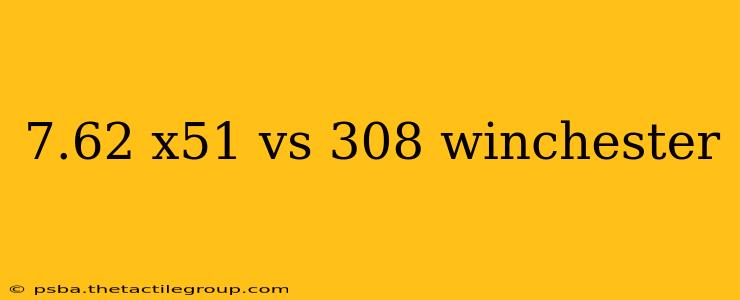 7.62 x51 vs 308 winchester