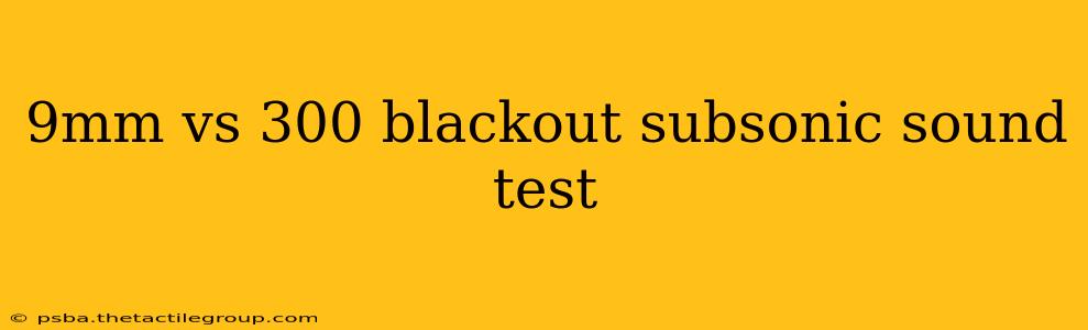 9mm vs 300 blackout subsonic sound test