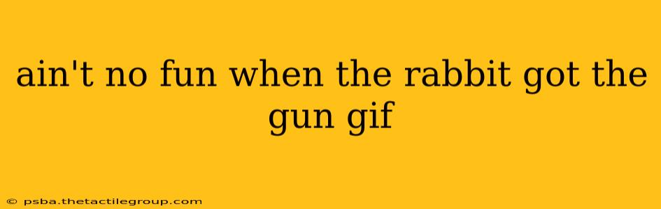 ain't no fun when the rabbit got the gun gif