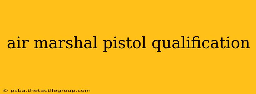 air marshal pistol qualification