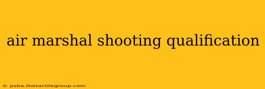 air marshal shooting qualification