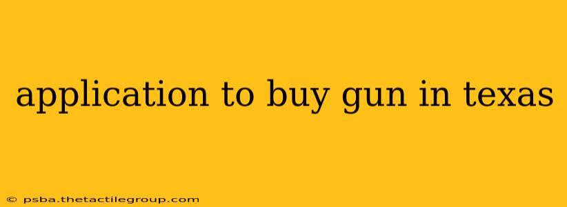 application to buy gun in texas