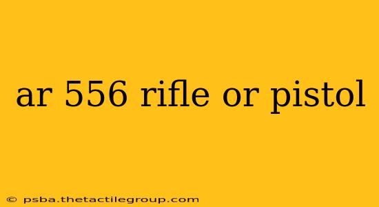 ar 556 rifle or pistol