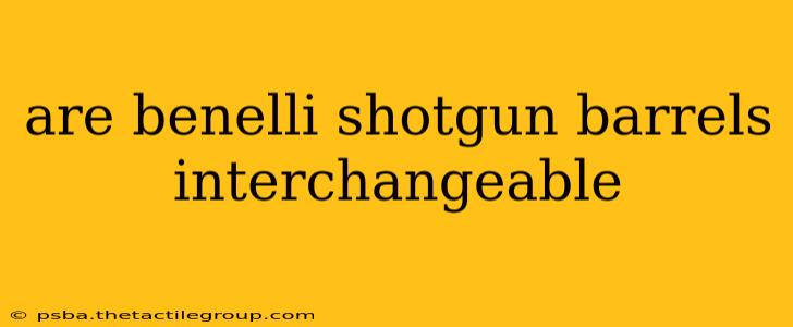 are benelli shotgun barrels interchangeable