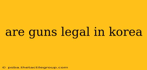 are guns legal in korea