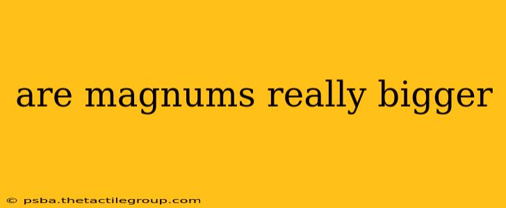 are magnums really bigger