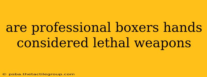 are professional boxers hands considered lethal weapons