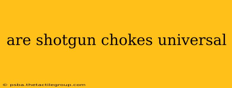 are shotgun chokes universal