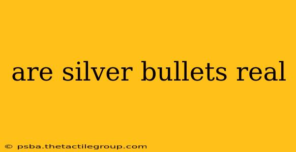 are silver bullets real