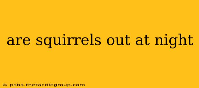 are squirrels out at night