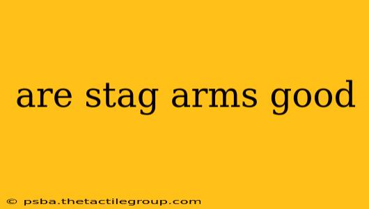 are stag arms good