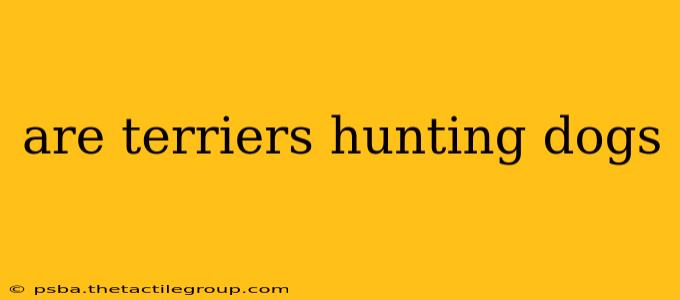 are terriers hunting dogs