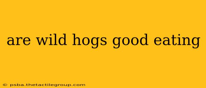 are wild hogs good eating