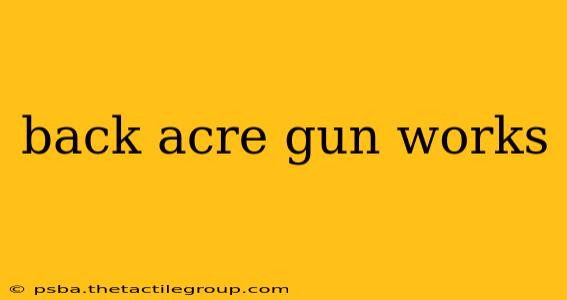 back acre gun works