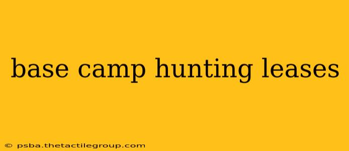 base camp hunting leases