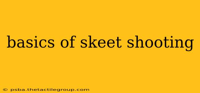 basics of skeet shooting