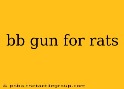 bb gun for rats