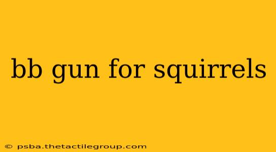 bb gun for squirrels