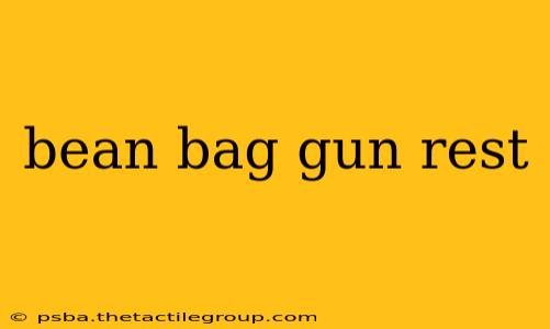 bean bag gun rest