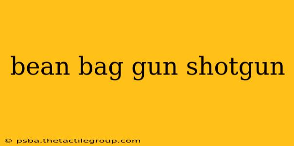 bean bag gun shotgun