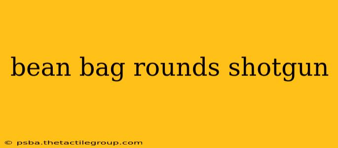 bean bag rounds shotgun