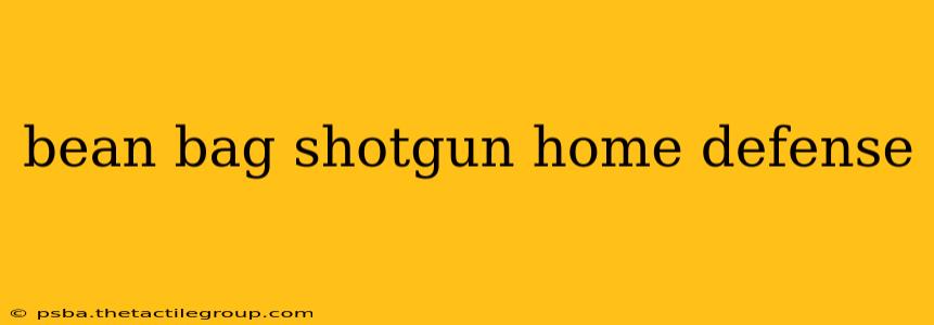 bean bag shotgun home defense