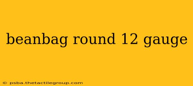 beanbag round 12 gauge