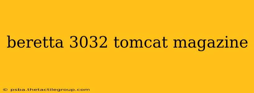 beretta 3032 tomcat magazine