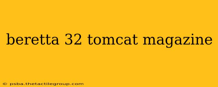 beretta 32 tomcat magazine