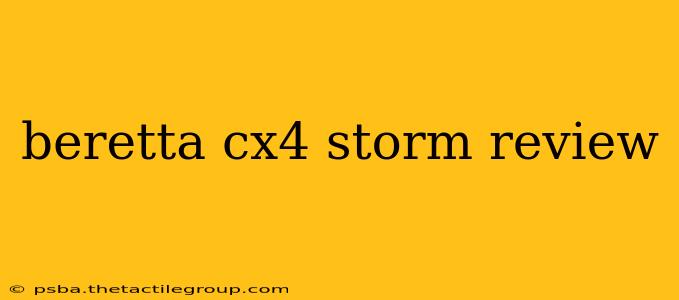 beretta cx4 storm review