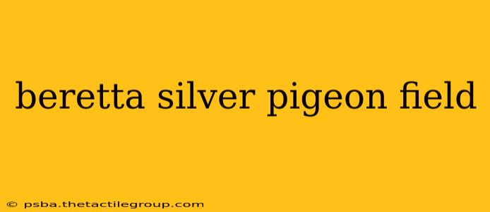 beretta silver pigeon field