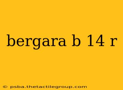 bergara b 14 r