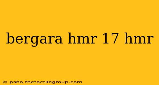 bergara hmr 17 hmr