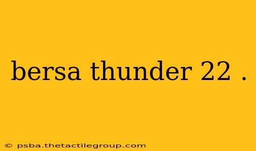 bersa thunder 22 .