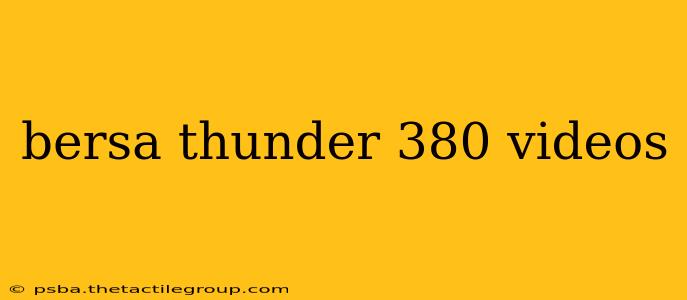 bersa thunder 380 videos