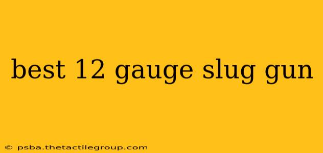 best 12 gauge slug gun