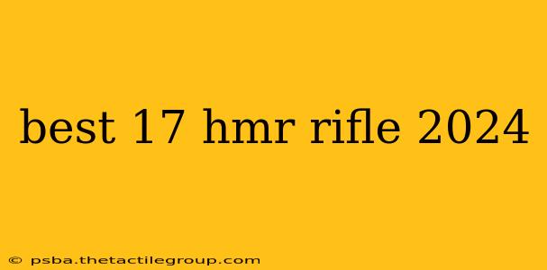 best 17 hmr rifle 2024