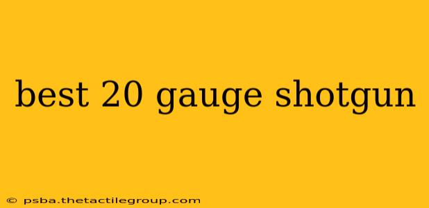 best 20 gauge shotgun