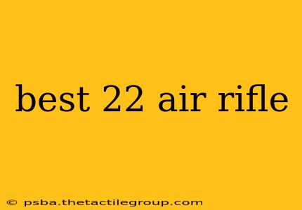 best 22 air rifle