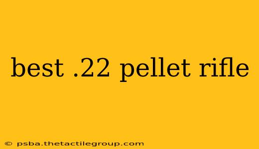 best .22 pellet rifle