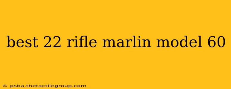 best 22 rifle marlin model 60