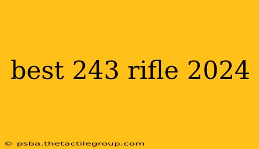 best 243 rifle 2024