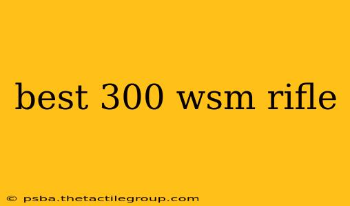 best 300 wsm rifle