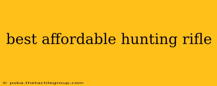 best affordable hunting rifle