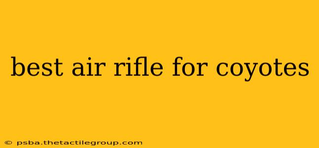 best air rifle for coyotes