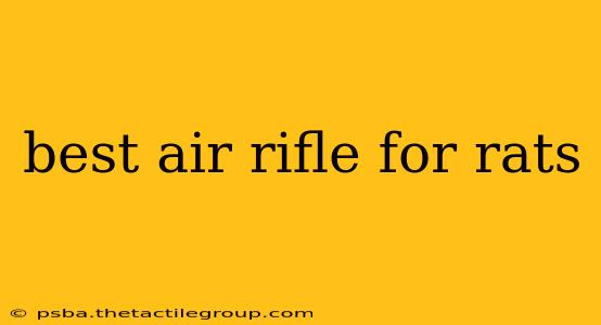 best air rifle for rats