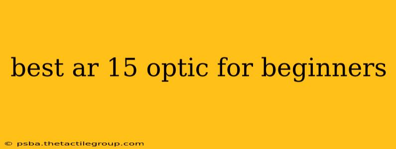 best ar 15 optic for beginners