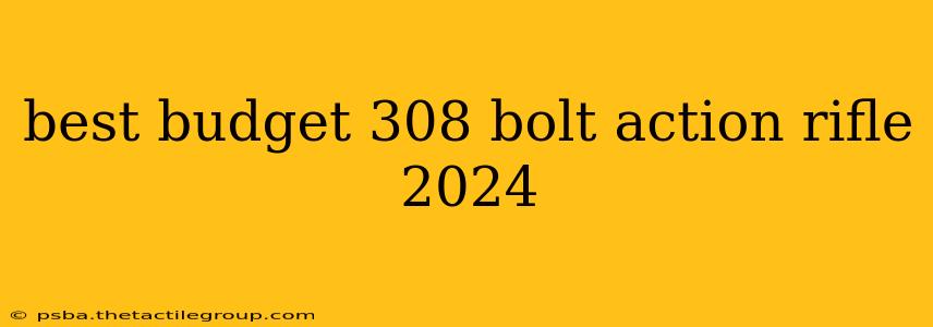 best budget 308 bolt action rifle 2024