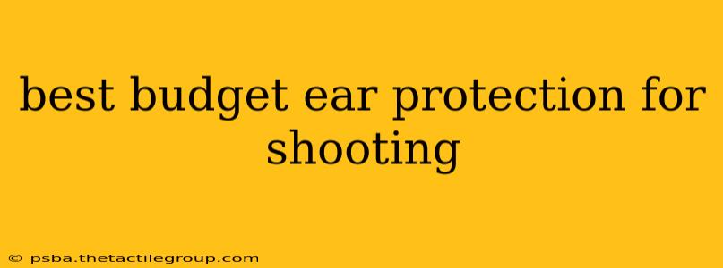 best budget ear protection for shooting