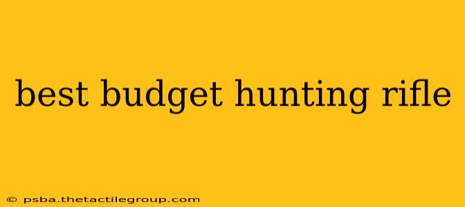 best budget hunting rifle